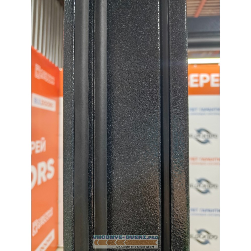 Дверь Бульдорс TERMO MIRROR